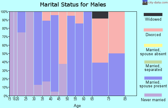 Zip code 53553 marital status for males