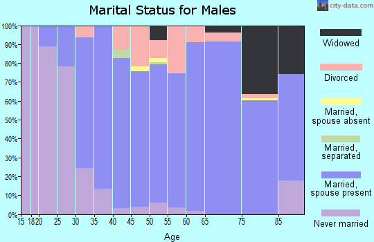 Zip code 53555 marital status for males