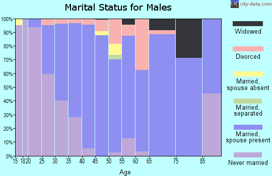 Zip code 53558 marital status for males
