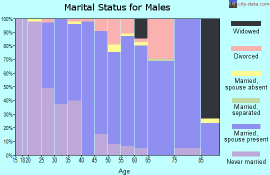 Zip code 53559 marital status for males