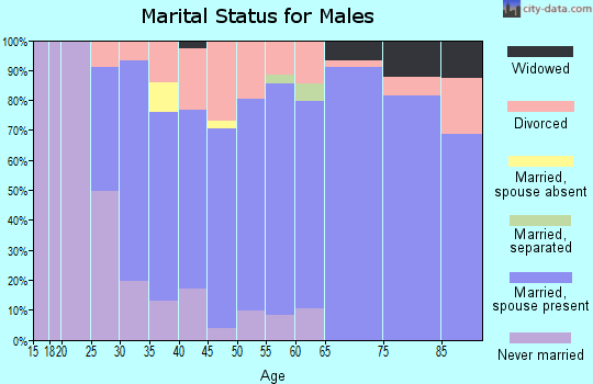 Zip code 53560 marital status for males
