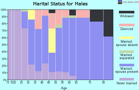 Zip code 53561 marital status for males