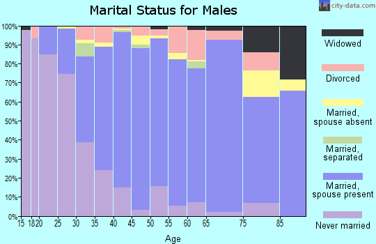 Zip code 53562 marital status for males