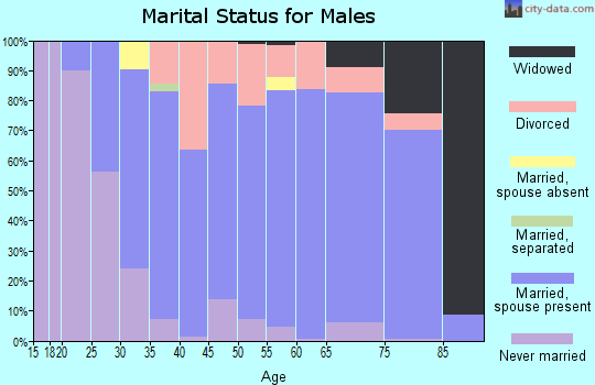 Zip code 53563 marital status for males