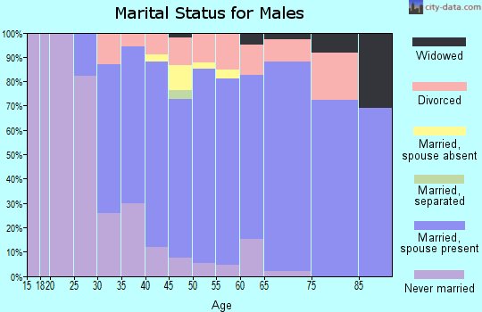 Zip code 53570 marital status for males