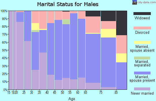 Zip code 53573 marital status for males