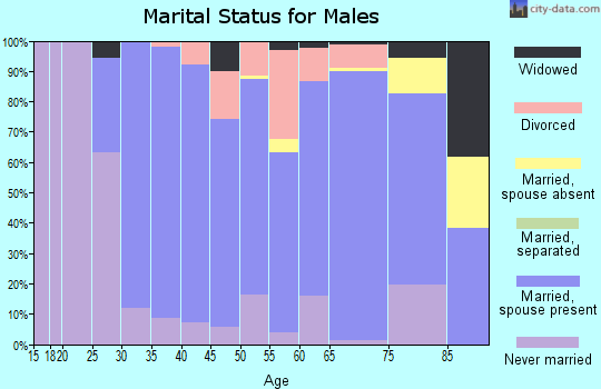 Zip code 53574 marital status for males