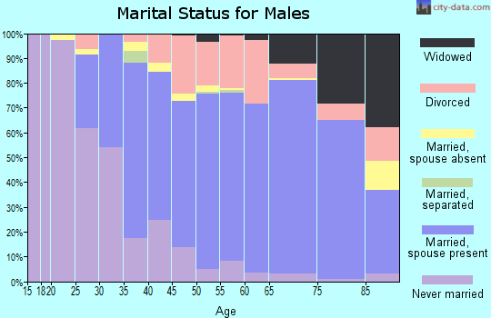 Zip code 53575 marital status for males