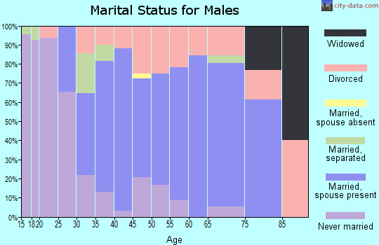 Zip code 53576 marital status for males