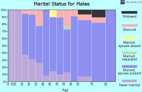 Zip code 53577 marital status for males
