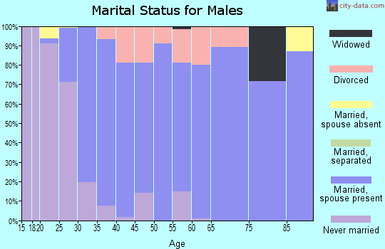 Zip code 53578 marital status for males