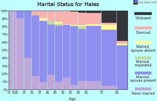 Zip code 53581 marital status for males