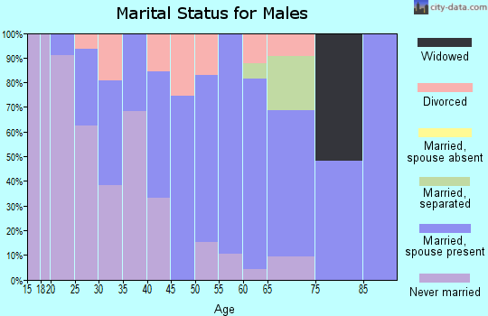 Zip code 53582 marital status for males