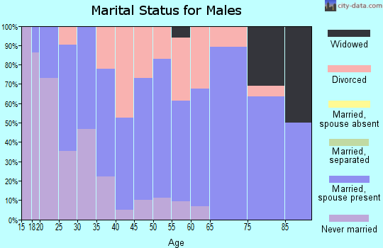 Zip code 53585 marital status for males