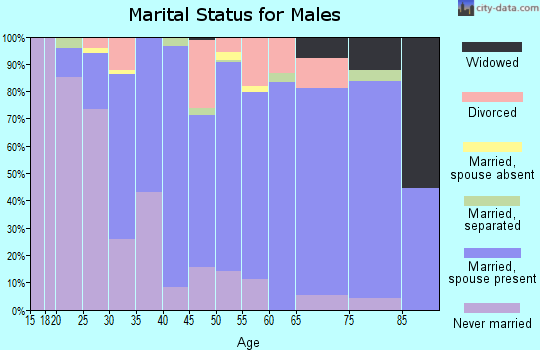 Zip code 53586 marital status for males