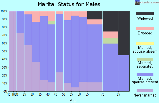 Zip code 53587 marital status for males