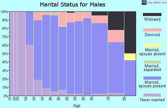 Zip code 53597 marital status for males