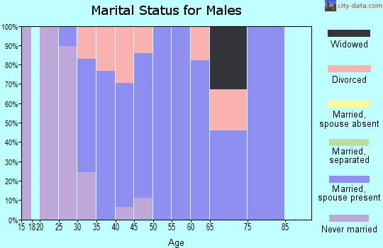 Zip code 53598 marital status for males