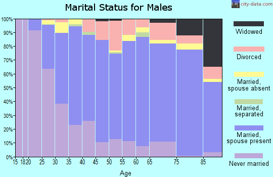 Zip code 53705 marital status for males