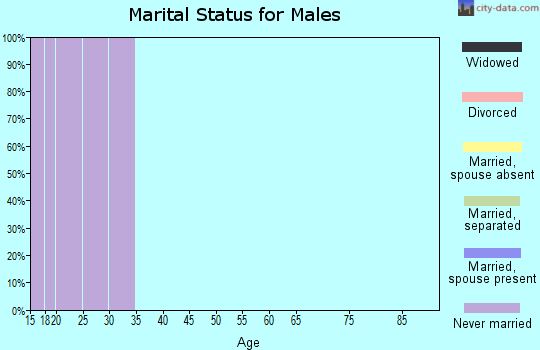 Zip code 53706 marital status for males