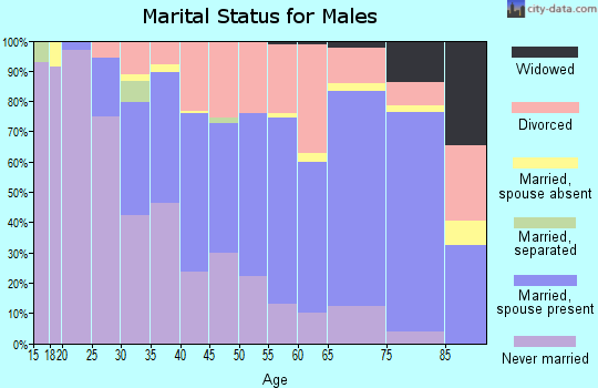 Zip code 53714 marital status for males