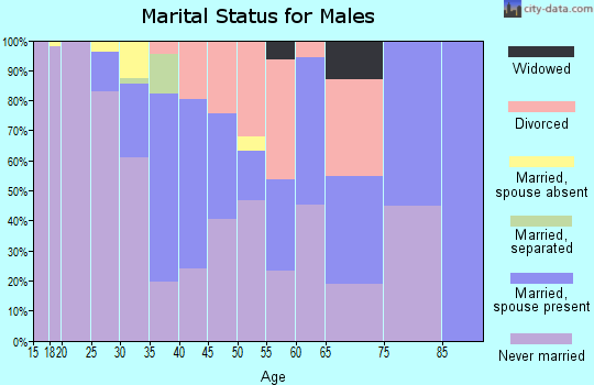 Zip code 53715 marital status for males
