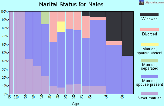 Zip code 53801 marital status for males