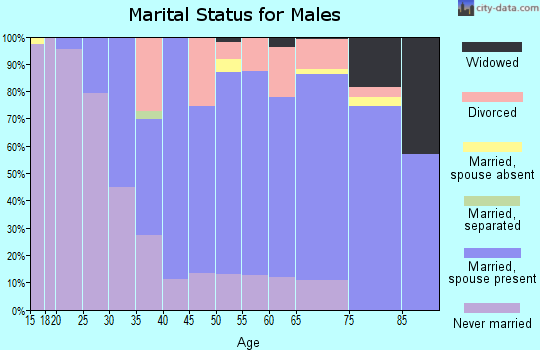 Zip code 53806 marital status for males
