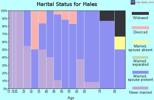 Zip code 53810 marital status for males