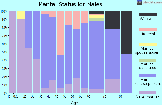 Zip code 53811 marital status for males