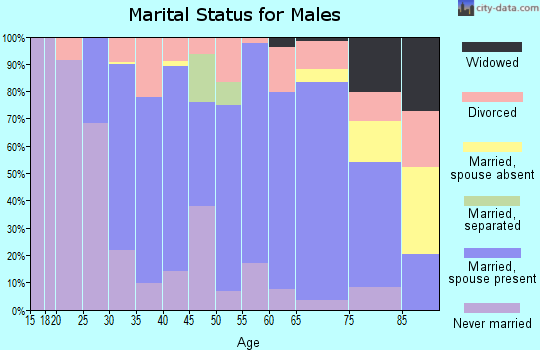 Zip code 53813 marital status for males
