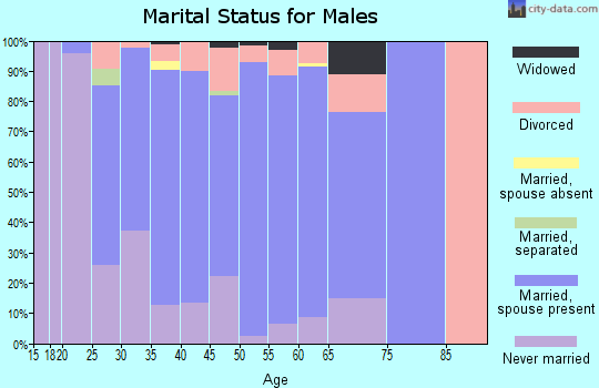 Zip code 53919 marital status for males