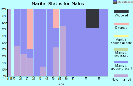 Zip code 53931 marital status for males