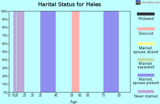 Zip code 53940 marital status for males