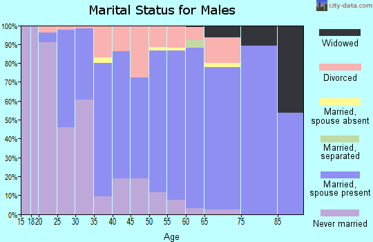 Zip code 53941 marital status for males