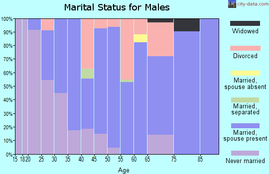 Zip code 53943 marital status for males