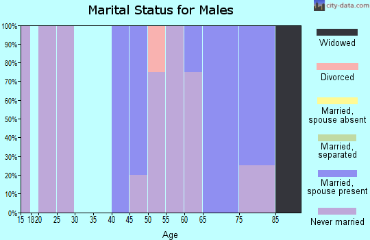 Zip code 53947 marital status for males