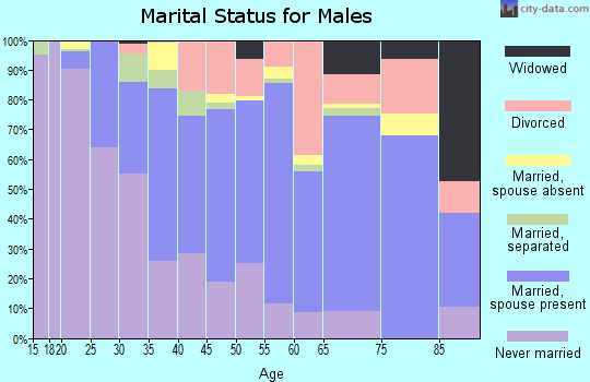Zip code 53948 marital status for males