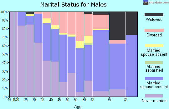Zip code 53950 marital status for males
