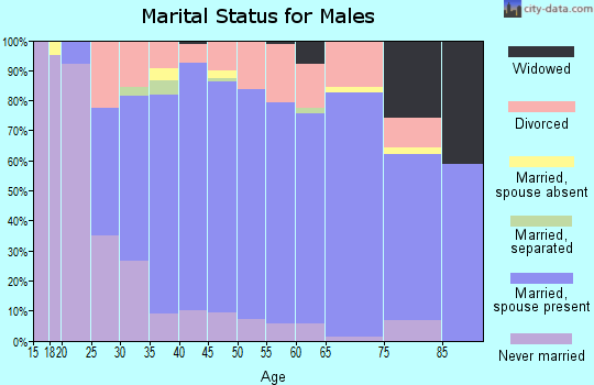 Zip code 53954 marital status for males