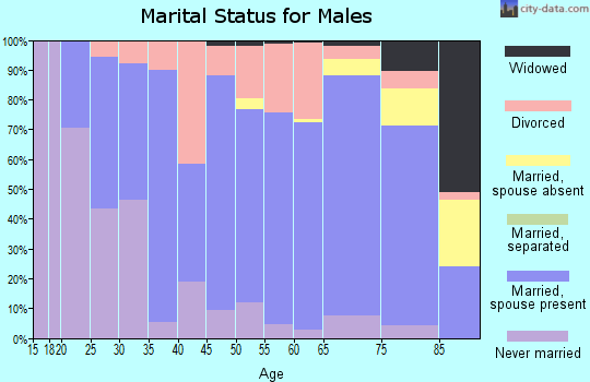 Zip code 54001 marital status for males