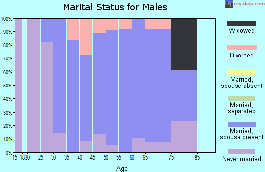 Zip code 54003 marital status for males