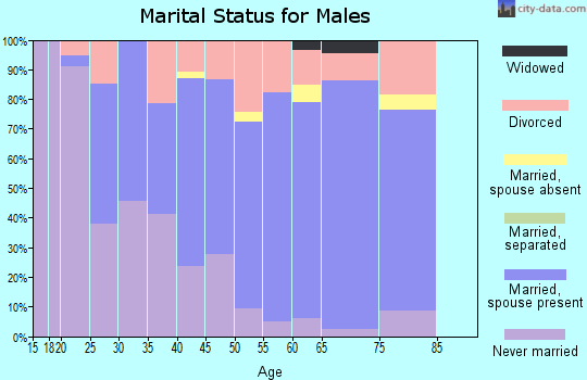 Zip code 54004 marital status for males