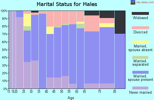 Zip code 54005 marital status for males