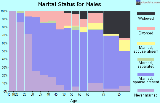 Zip code 54011 marital status for males