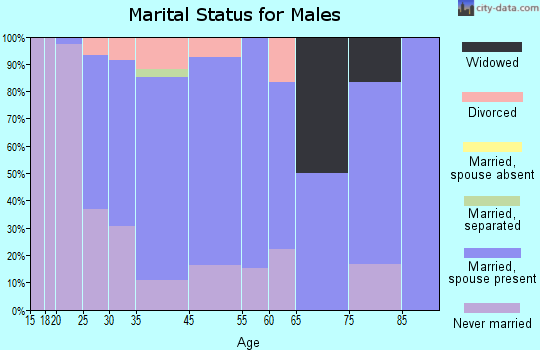 Zip code 54012 marital status for males