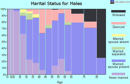 Zip code 54013 marital status for males