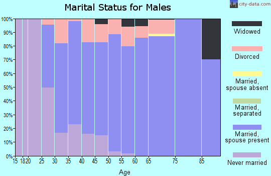 Zip code 54014 marital status for males