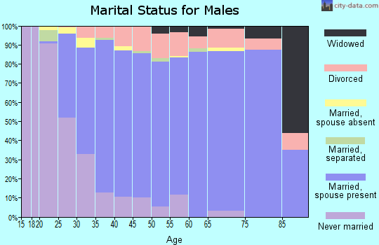 Zip code 54016 marital status for males