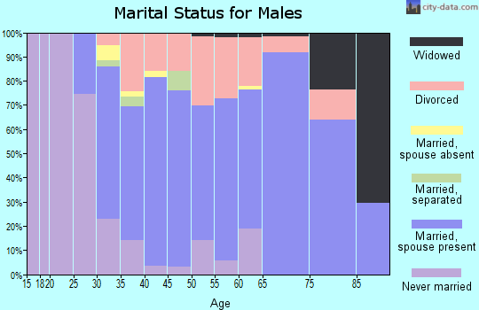 Zip code 54024 marital status for males